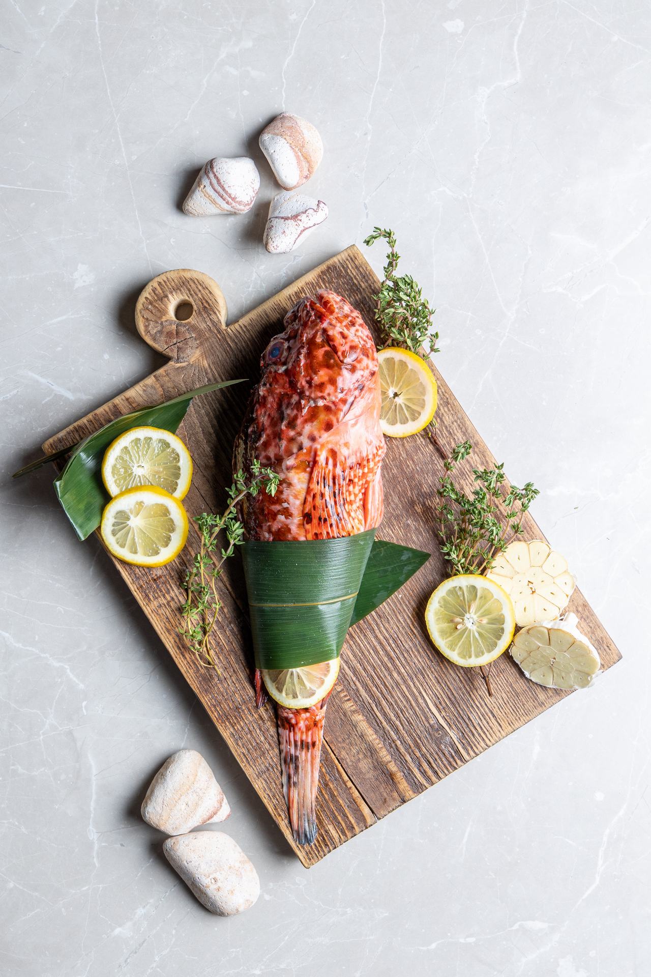 SCORPION FISH
