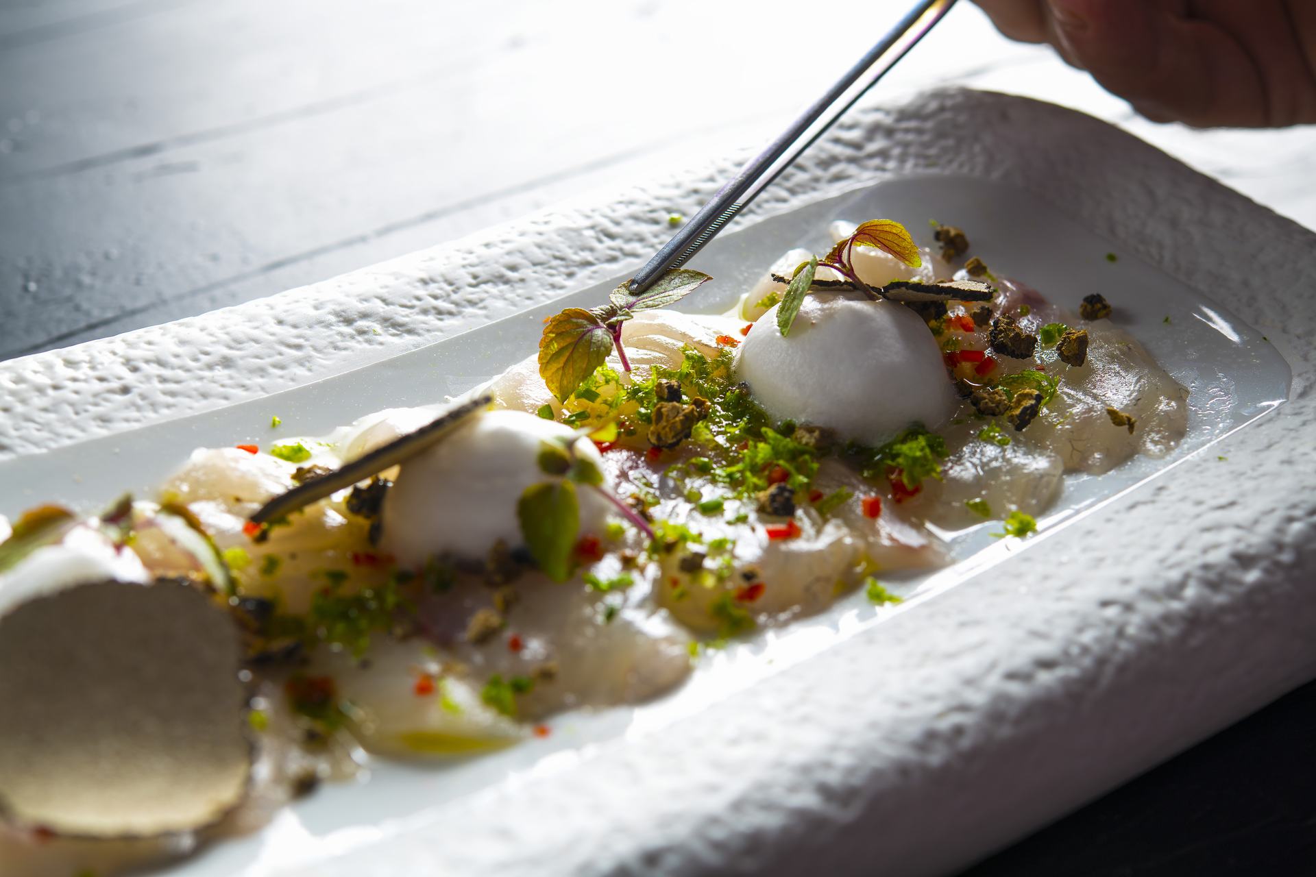 SEA BASS CARPACCIO
